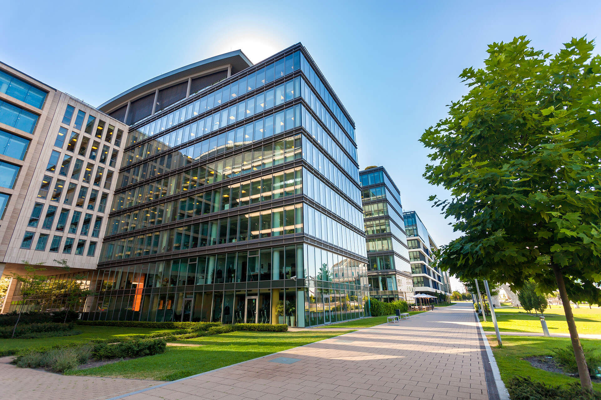 Commercial Loans